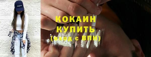 дживик Алексин