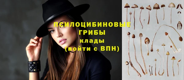 дживик Алексин