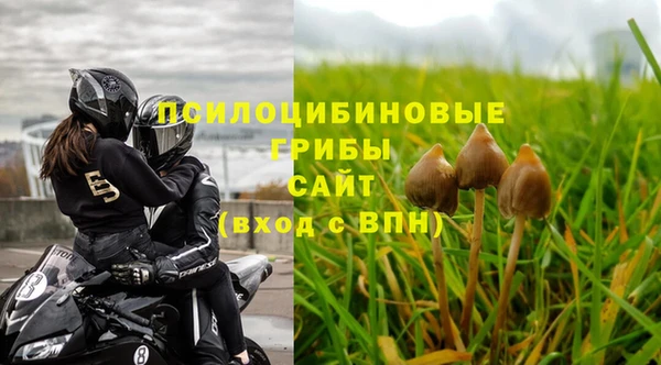 дживик Алексин