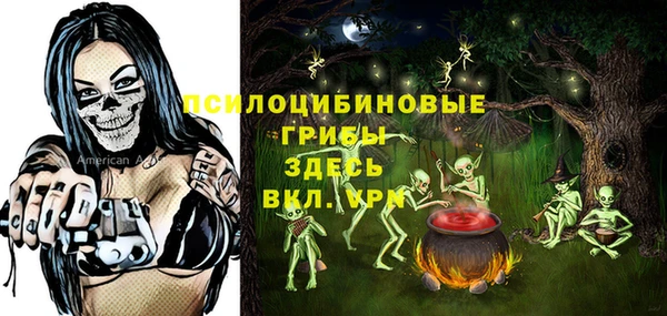 дживик Алексин