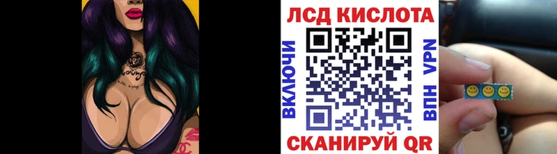 Наркотические марки 1,5мг  мега сайт  Камешково  где найти наркотики 