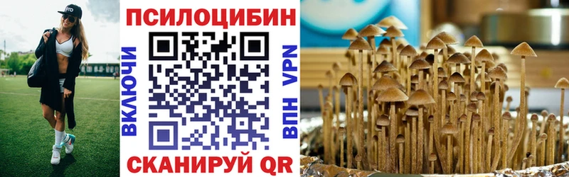 Псилоцибиновые грибы Magic Shrooms  купить наркоту  Камешково 
