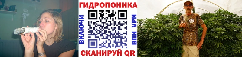 Бошки марихуана сатива  Камешково 